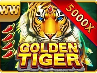 Golden Tiger